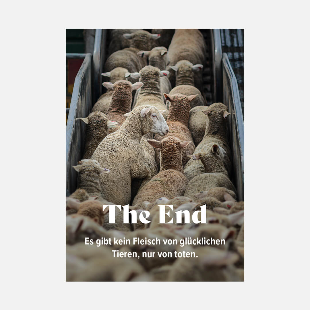 The End – Es gibt kein Fleisch von glücklichen Tieren, nur von toten.