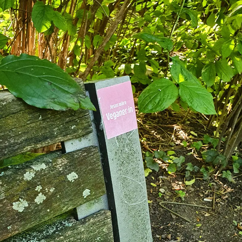 Aufkleber "Jesus wäre Veganer:in" auf Parkbank