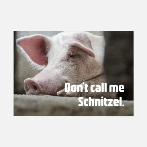 Don't call me Schnitzel Aufkleber